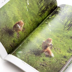 Sekai No Neko Michi -Books Sales Store 004a87b3ab344080ac1a791ded7cd0cd.jpg