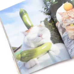 Noseneko Big 12 Noseneko Big -Books Sales Store 006cff2f15e648fab3663f4660bb1161.jpg