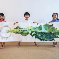 Big Book 2: The Giant Turnip -Books Sales Store 01960ff24de742ab867552e6fc5d0bda.jpg