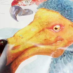 Big Book 3: Alice's Adventures In Wonderland 14 Big Book 3: Alice's Adventures In Wonderland -Books Sales Store 09201c9e48ea47d08dd72d418d0d2db7.jpg