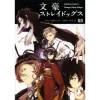 Bungo Stray Dogs Vol. 3