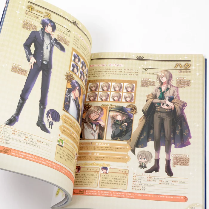 100 Sleeping Princes & The Kingdom Of Dreams Official Guide Book 11 100 Sleeping Princes & The Kingdom Of Dreams Official Guide Book - Image 9