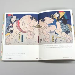 The Perfect Guide To Sumo -Books Sales Store 1d1bd236bfd74eb8802b237f898b618c.jpg