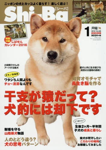 Shi-Ba January 2016 3 Shi-Ba January 2016