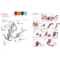 Omoikkiri Ink Paintings -Books Sales Store 201ae851bfa14a218b5e0d313d4ab001.jpg