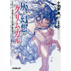 Grimgar Of Fantasy And Ash Vol. 11 (Light Novel)