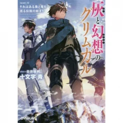 Grimgar Of Fantasy And Ash Vol. 12 (Light Novel)