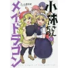 Miss Kobayashi's Dragon Maid Vol. 9