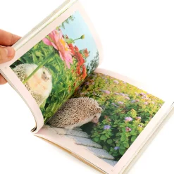 Marutaro The Hedgehog Butt Photo Book -Books Sales Store 2dfc8ec7da324aa496bee0ed7a05a997.jpg