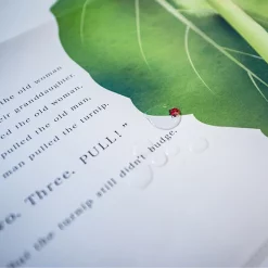 Big Book 2: The Giant Turnip -Books Sales Store 2f07c333a6494def8422e93449261346.jpg