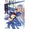 IS Vol. 11 (Light Novel)