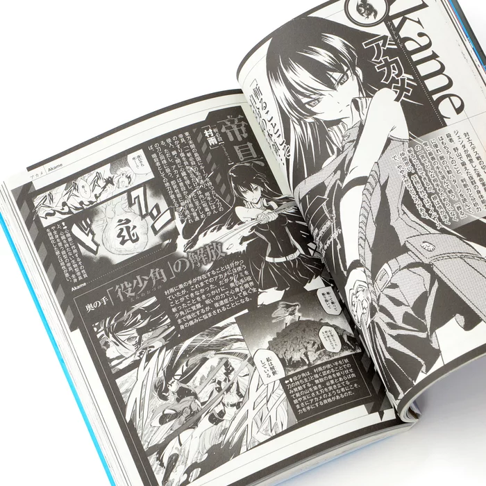 Akame Ga Kill! Memorial Fan Book 7 Akame Ga Kill! Memorial Fan Book - Image 5