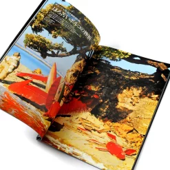 The Golden Age Of The Flying Boat Miniature Works -Books Sales Store 379b65ad40584bebb9395db5292cfb1a.jpg