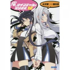 Gonna Be The Twin-Tail!! Vol. 12 (Light Novel)