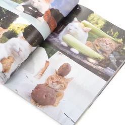 Noseneko Big 14 Noseneko Big -Books Sales Store 4328faf86c8b478babeb2154cc95eee0.jpg