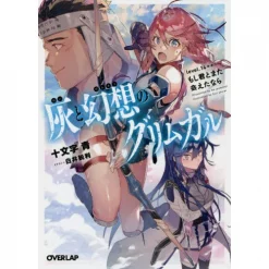 Grimgar Of Fantasy And Ash Vol. 14++ (Light Novel)