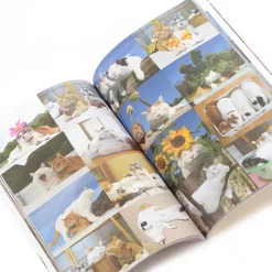 Noseneko Big 13 Noseneko Big -Books Sales Store 43b310c9d09648c7b5f8a14fc5df2a1f.jpg