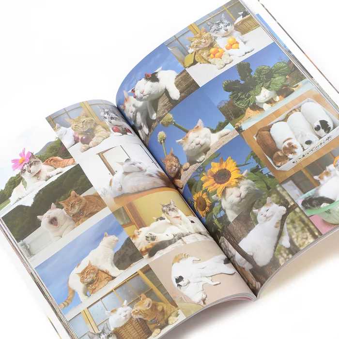 Noseneko Big 7 Noseneko Big - Image 5