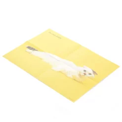 The Cat's Issue Boston Bag Book 14 The Cat's Issue Boston Bag Book -Books Sales Store 47617966d62c4e399c174285a0acd356.jpg