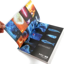 Mamoru Hosoda The Boy And The Beast Art Book -Books Sales Store 4bc00369838c46fab83dc805c124e004.jpg