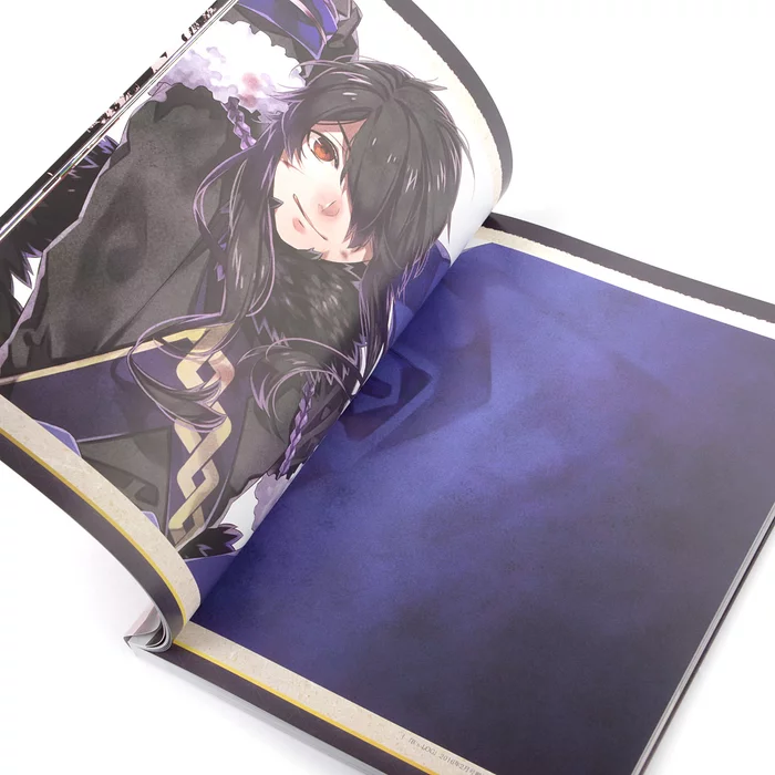 Hyakka Hyakurou Sengoku Ninpouchou Official Art Book 7 Hyakka Hyakurou Sengoku Ninpouchou Official Art Book - Image 5