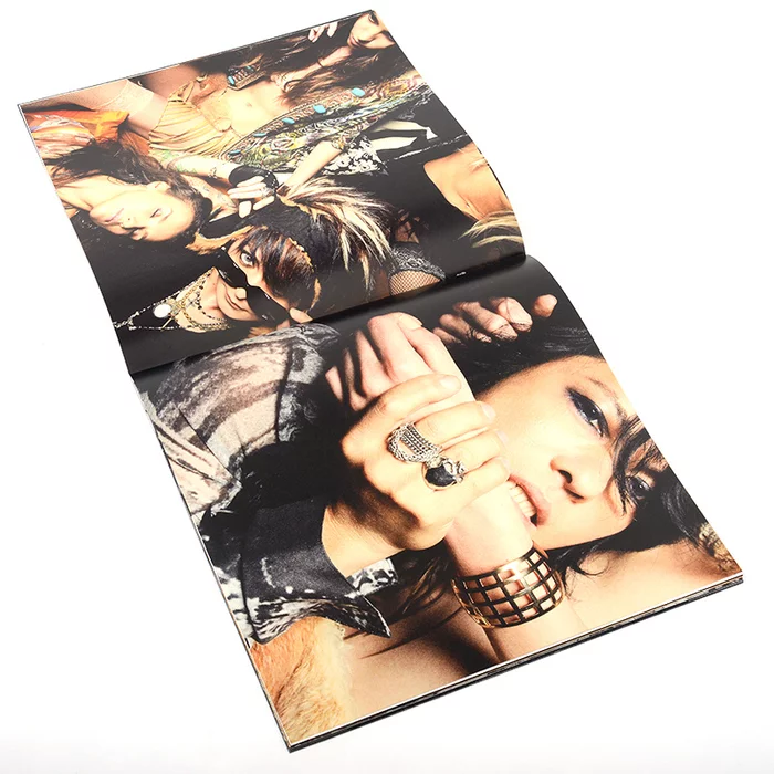 VAMPS Bloodsuckers 2015 Live Tour Official Pamphlet 8 VAMPS Bloodsuckers 2015 Live Tour Official Pamphlet - Image 6