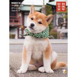 Wafu Sohonke 17 Daime Mamesuke Official Photo Book