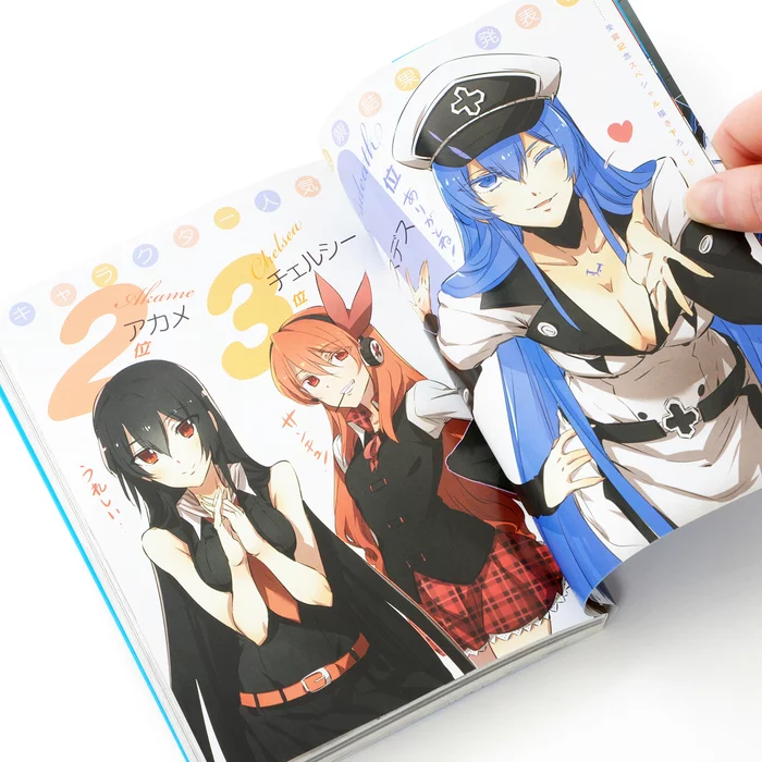 Akame Ga Kill! Memorial Fan Book 6 Akame Ga Kill! Memorial Fan Book - Image 4