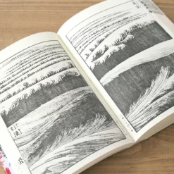 Hokusai Manga Art Works Vol.2 -Books Sales Store 59081bc10f98405d8f8296e6344e136b.jpg