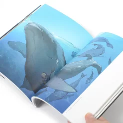 Pone: Posuka Demizu Art Book 16 Pone: Posuka Demizu Art Book -Books Sales Store 5f12e498d1ce4a88811df25207f5eb2e.jpg