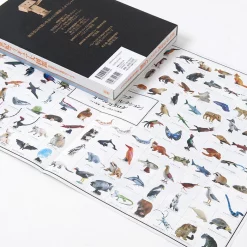 Kaiyodo Half Century Figure Encyclopedia -Books Sales Store 627568d6c2c949ebb549985a09142a13.jpg