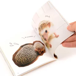 Marutaro The Hedgehog Butt Photo Book -Books Sales Store 686925b5f2f84ed0a289ccb56934e3dc.jpg