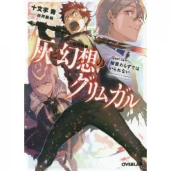 Grimgar Of Fantasy And Ash Vol. 14+ (Light Novel)