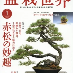 Bonsai World January 2016