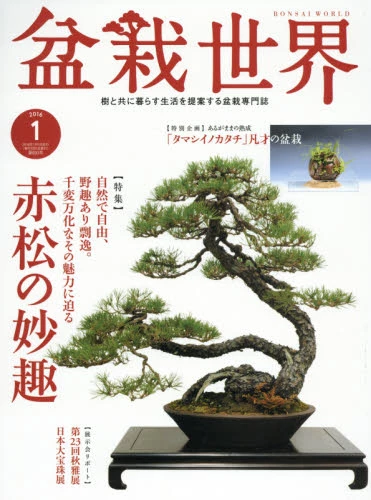 Bonsai World January 2016 3 Bonsai World January 2016