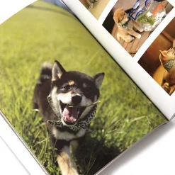 Wafu Sohonke Mamesuke Tte Ii Na Rekidai Best Photo Book Set -Books Sales Store 6fe53736674c4fb0a91248aac91ec937.jpg