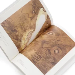 Yoshitaka Amano Meiga Monogatari: Cinderella -Books Sales Store 70ad80917b5843fda6abf2bb2ff92ea7.jpg