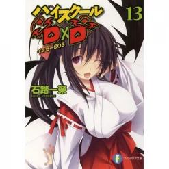 High School DxD Vol. 13 (Light Novel)