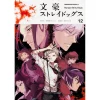 Bungo Stray Dogs Vol. 12
