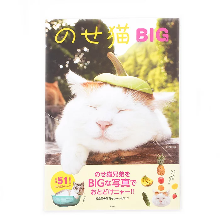 Noseneko Big 3 Noseneko Big