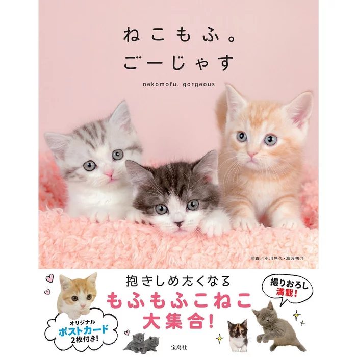 Nekomofu Gorgeous 3 Nekomofu Gorgeous