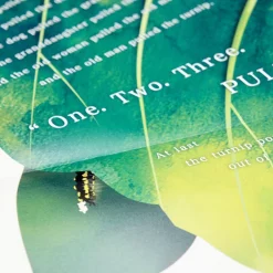 Big Book 2: The Giant Turnip -Books Sales Store 84665f7d8a3e472bacce71ee1ac4b683.jpg