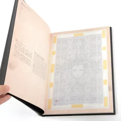 Necrophantasmagoria: Takato Yamamoto Artworks 9 Necrophantasmagoria: Takato Yamamoto Artworks -Books Sales Store 8529cc4bd22045538310dc85f023d0a6.jpg