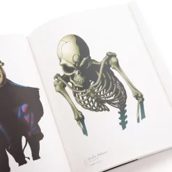 Kazuma Kaneko Works V -Books Sales Store 8bed4b5a312741d6819afdf4100c0c75.jpg