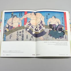 The Perfect Guide To Sumo -Books Sales Store 8e69cd3898394b56820a5e0572769f90.jpg