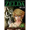 The Legend Of Zelda: Twilight Princess Vol. 1 -Books Sales Store 919c0dddd3f74ba1a707a7de189f60ce.jpg