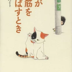 When The Cat Stretches Its Back