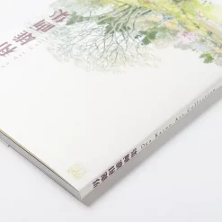 Oga Kazuo Art Collection -Books Sales Store 928502ab9167400dbedbd6e992379b16.jpg