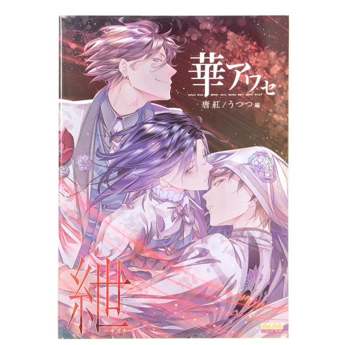 Hana Awase: Karakurenai/Utsutsu-hen Kizuna 3 Hana Awase: Karakurenai/Utsutsu-hen Kizuna