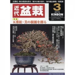 Kindai Bonsai Kinbon March 2016
